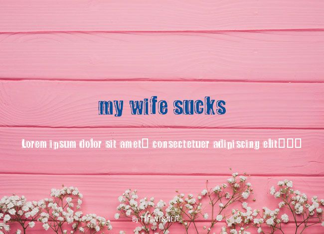my wife sucks example